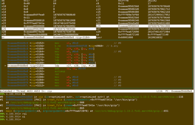 Understanding Pointer Authentication Effects in Debugger Output