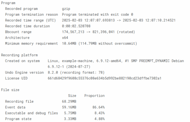 Understand Undo Recording Files