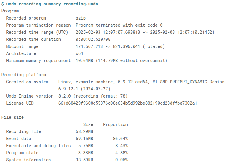 Understand Undo Recording Files